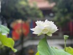 IMG_0305