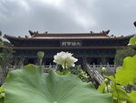 IMG_0307