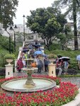 IMG_0937