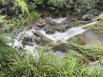 IMG_1035