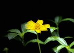 IMG_1044