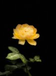 IMG_1156