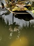 IMG_1173