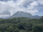 IMG_1190