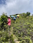 IMG_1191