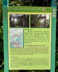 IMG_1229
