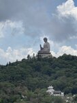 IMG_1233