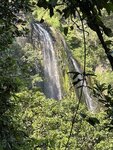 IMG_1504