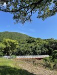 IMG_1510