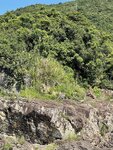 IMG_1512