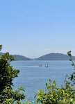 IMG_1528