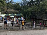 IMG_1569