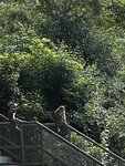IMG_1571