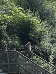 IMG_1572