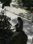 IMG_1573
