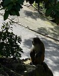 IMG_1574