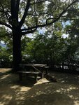 IMG_1578