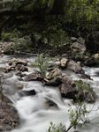 IMG_1644