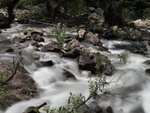 IMG_1645