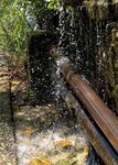 IMG_1650