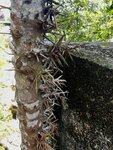 IMG_1662