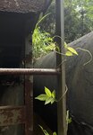 IMG_1667