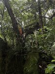 IMG_1820