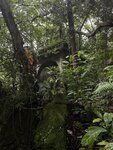IMG_1821
