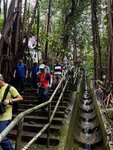 IMG_1830