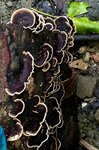 IMG_1839