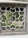 IMG_1963