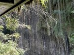 IMG_2107