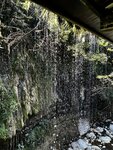 IMG_2109