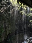 IMG_2110