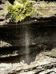 IMG_2136