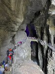 IMG_2241