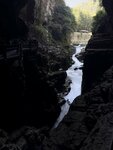 IMG_2242
