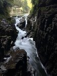 IMG_2246