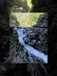 IMG_2246