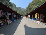 IMG_2487