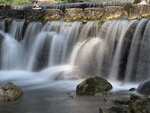 IMG_2491