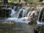 IMG_2494