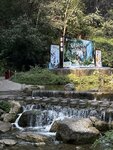 IMG_2495