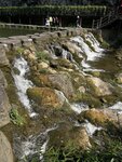 IMG_2496