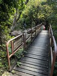 IMG_2595