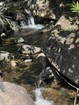 IMG_2596