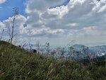 IMG_2601