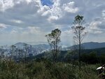 IMG_2602