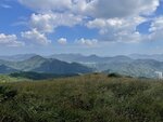 IMG_2611