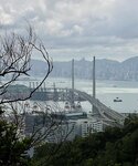 IMG_2882